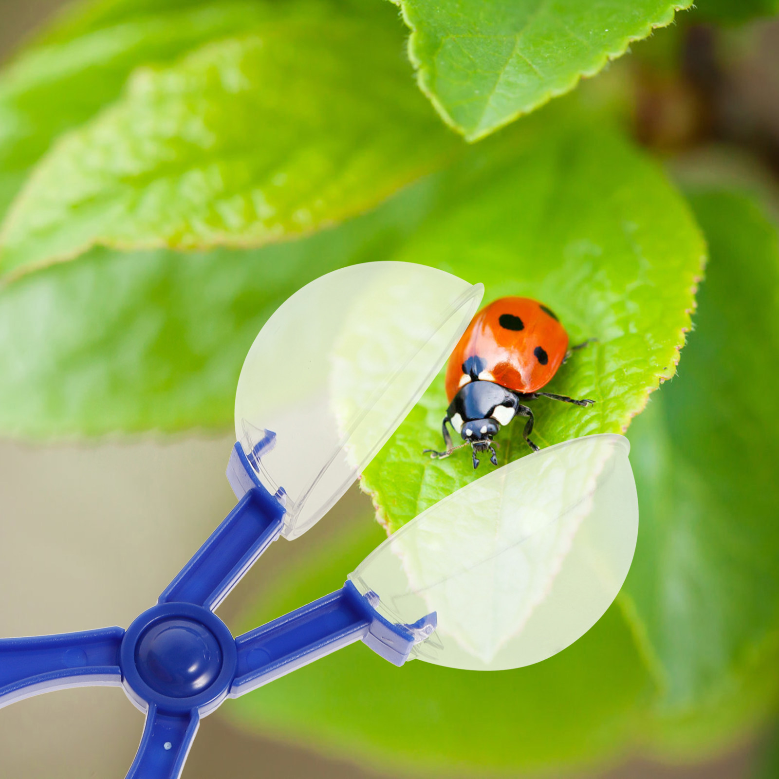 8Pcs Insect Catcher Scissors K - đánh giá và giá Kids Education Tools