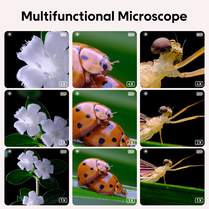 Mini Kids Optical Microscope W - đánh giá và giá Kids Education Video